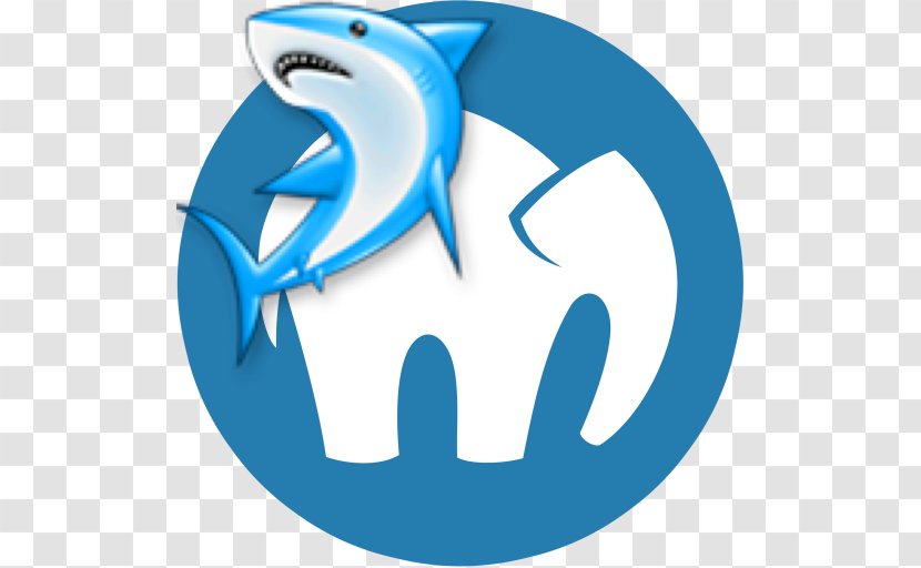 MAMP XAMPP MacOS Web Browser MySQL - Bottlenose Dolphin - Ajax Sign Transparent PNG