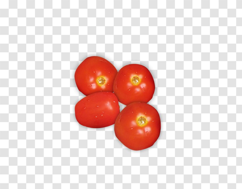 Plum Tomato Cherry Soup Bush - Potato And Genus - Tomatoes Transparent PNG