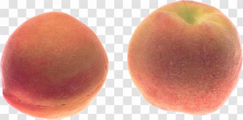 Peach Icon - Auglis - Image Transparent PNG