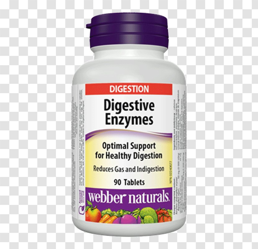 Dietary Supplement Digestive Enzyme Digestion Food - Probiotic Transparent PNG
