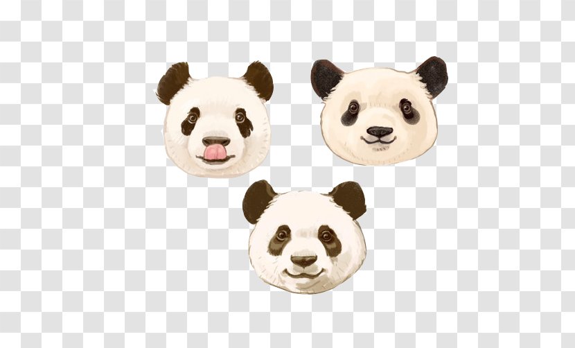 Giant Panda Bear - Watercolor Painting - Painted Different Expressions Stock Image Transparent PNG