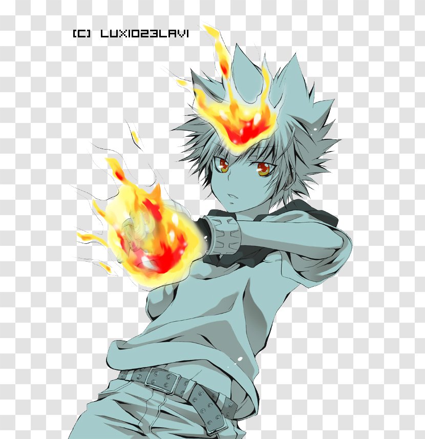 Tsunayoshi Sawada Lambo Hayato Gokudera Reborn! - Tree Transparent PNG