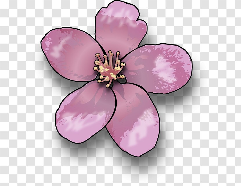 Drawing Blossom Clip Art - Pink Transparent PNG