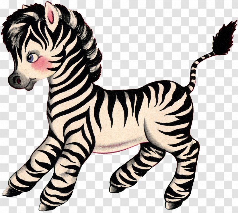 Quagga Baby Zebras Infant Cuteness - Zebra - Cute Transparent PNG