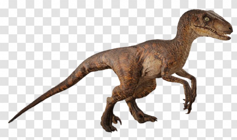 Velociraptor Robert Muldoon Jurassic Park Film Dinosaur - Wiki - 4 Trailer 2014 Transparent PNG
