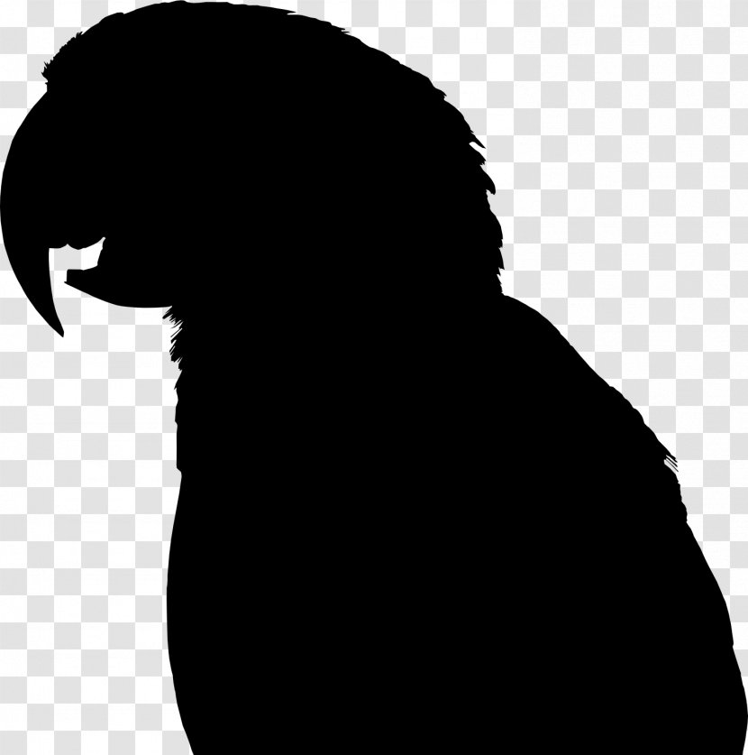 Beak Clip Art Silhouette Black M - Head Transparent PNG