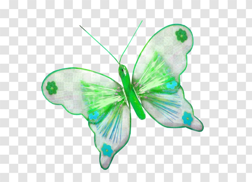 Butterfly Insect Clip Art - Wing - Log Texture Transparent PNG