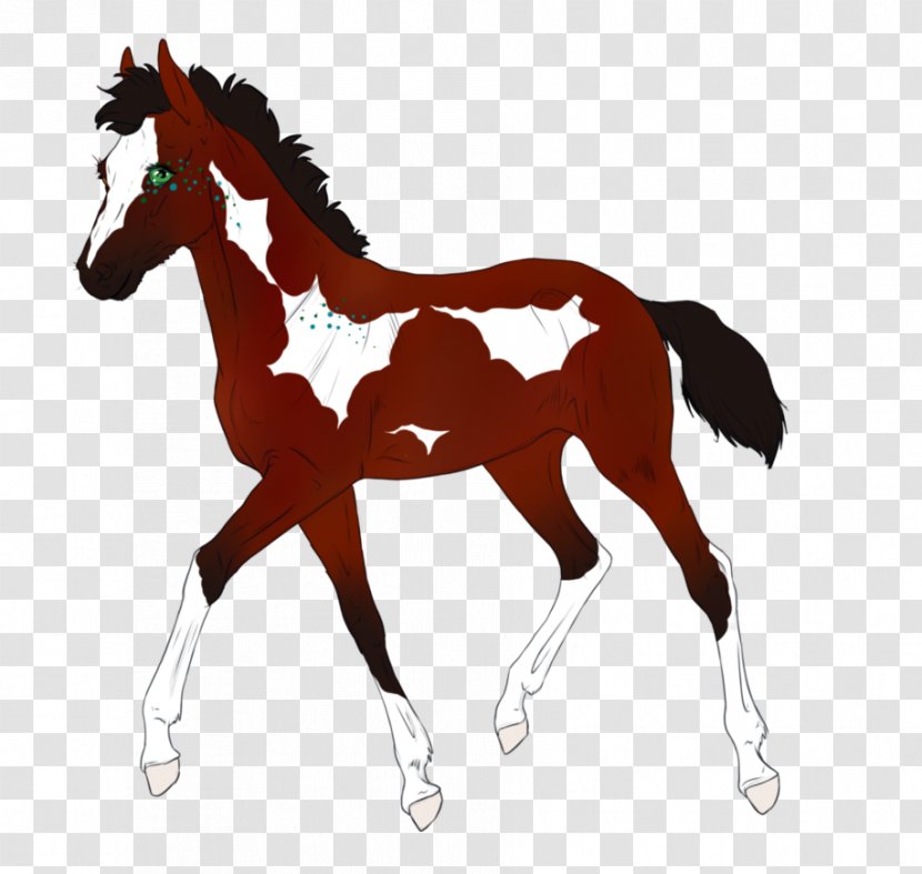 Foal Stallion Colt Pony Mustang - Horse Like Mammal - Minimal Summer Transparent PNG