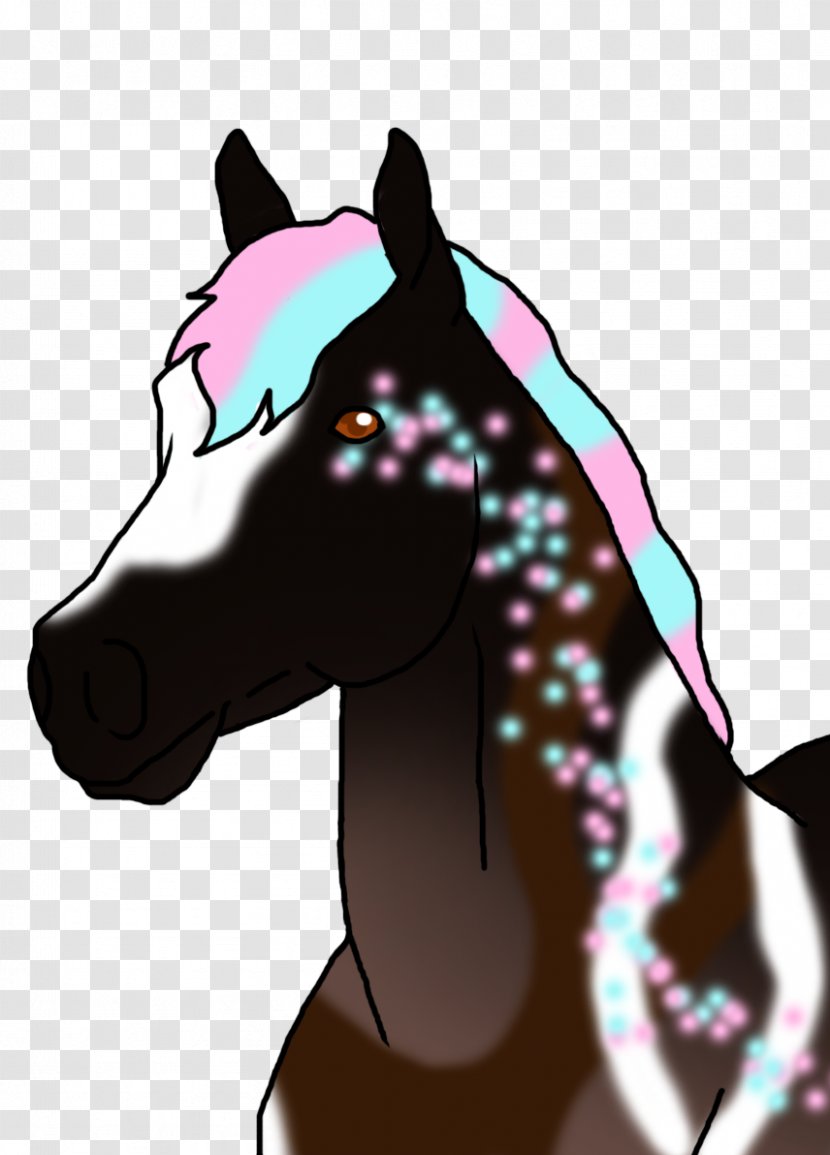 Foal Halter Mustang Stallion Colt - Snout Transparent PNG