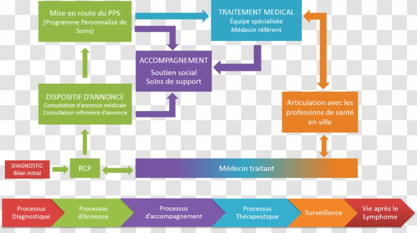 Parcours De Soins Coordonnés Health Care Oncology Patient Cancer - Safety Transparent PNG