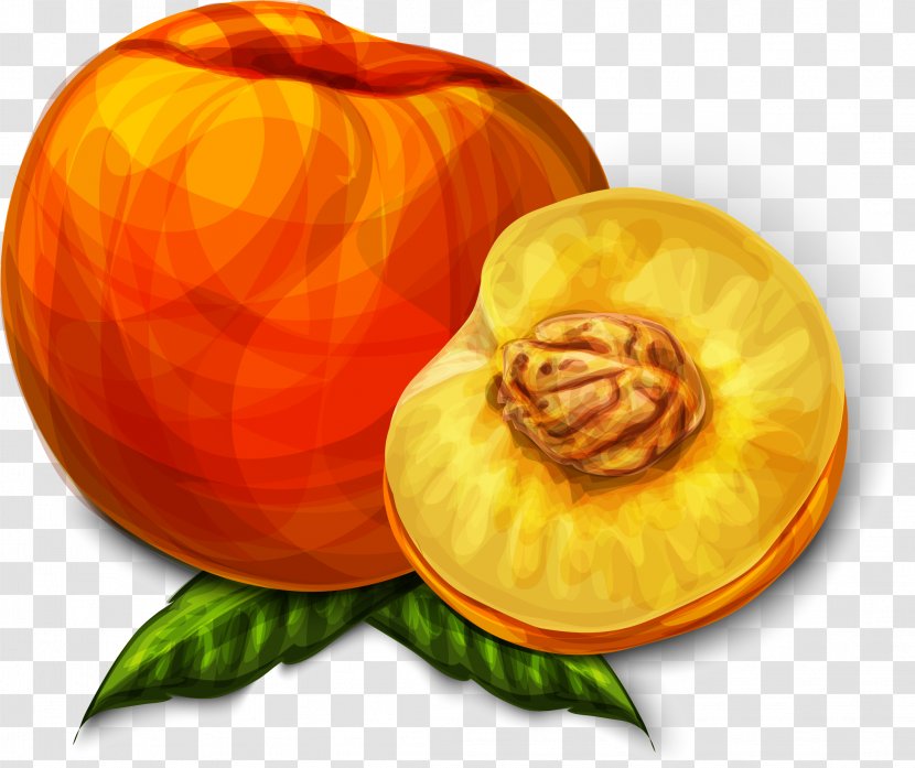 Juice Peach - Commodity - Vector Hand Painted Transparent PNG