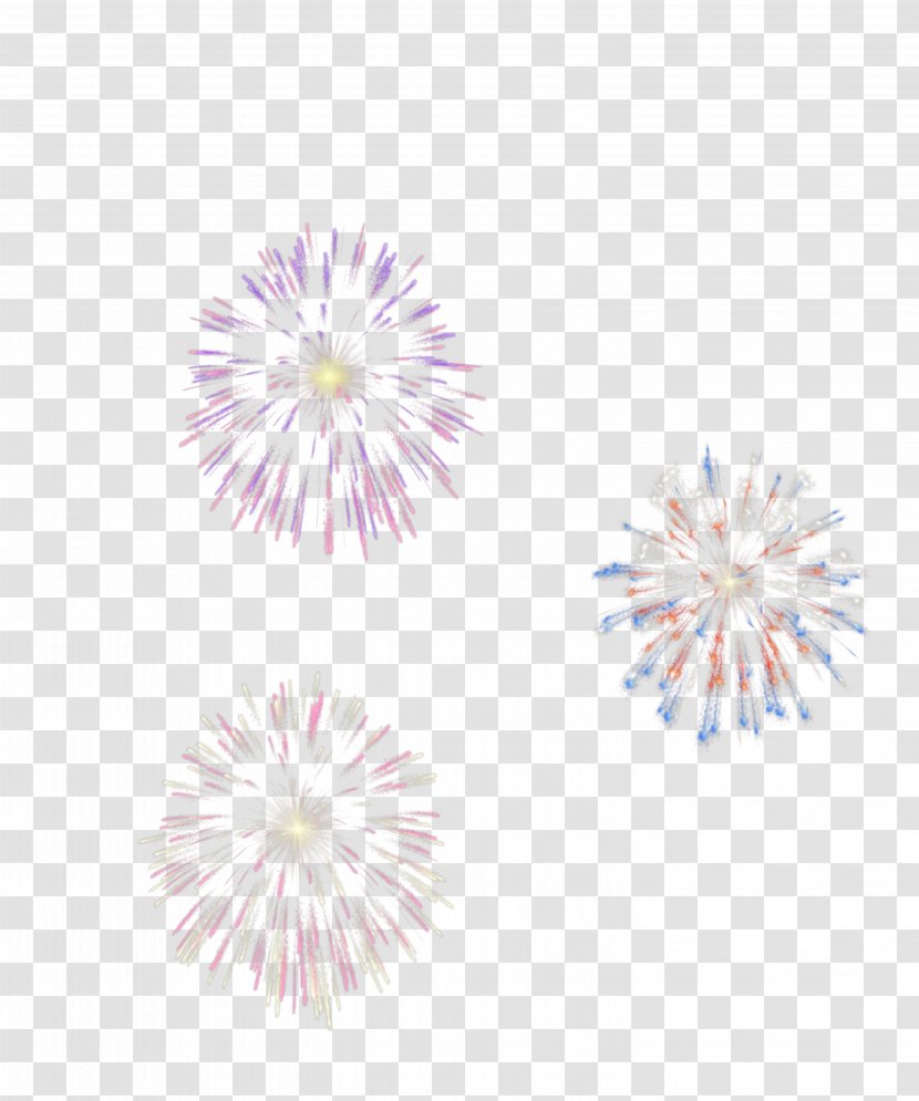 Fireworks Festival Chinese New Year - Pink - Festive Transparent PNG