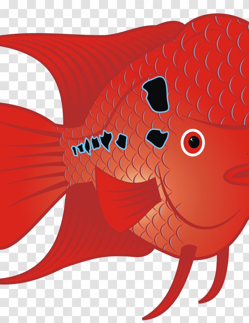 Flowerhorn Cichlid Goldfish Tropical Fish Clip Art - Ornamental Transparent PNG