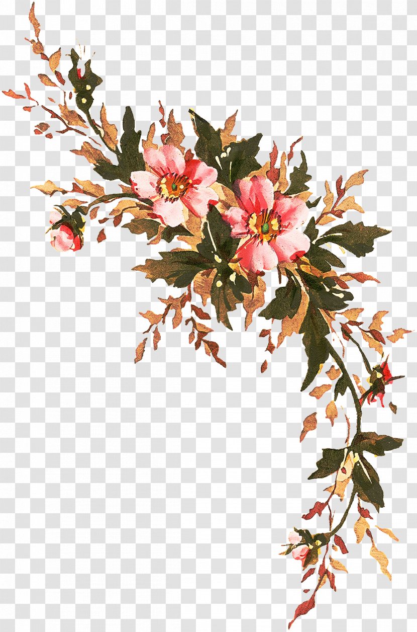 Flower Plant Branch Flowering Twig - Petal Blossom Transparent PNG