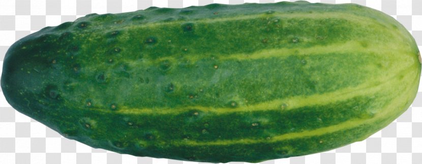Cucumber Food - Produce Transparent PNG