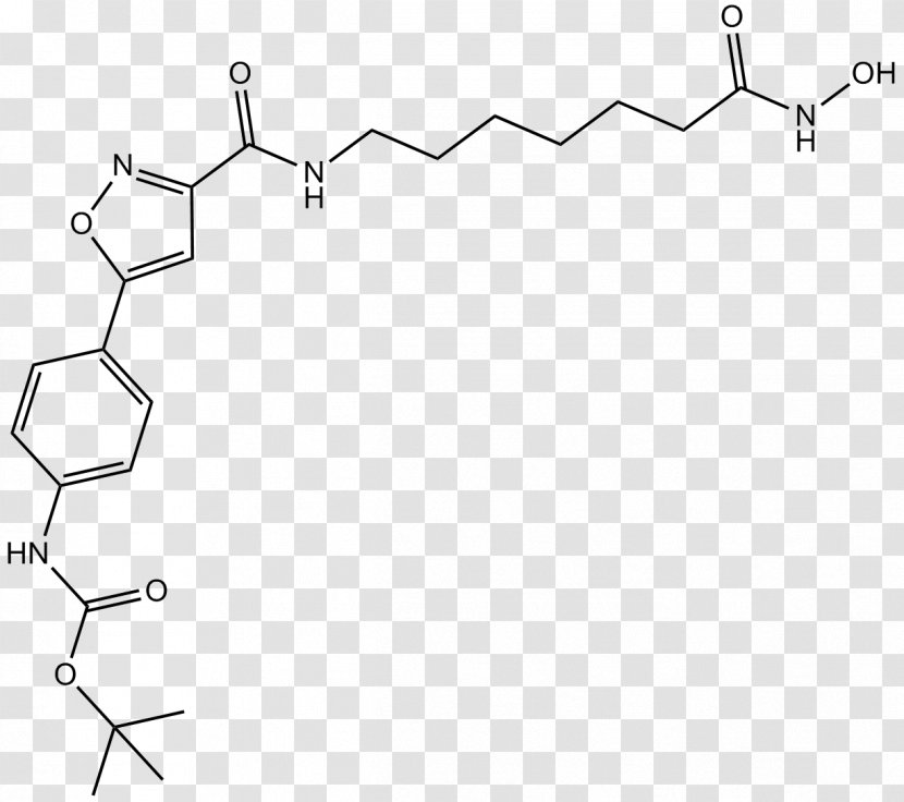 Histone Deacetylase Cell Enzyme Inhibitor HDAC6 - Monochrome - Dna Damage Transparent PNG