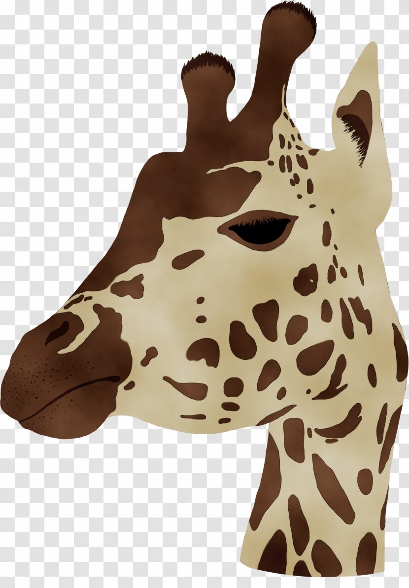 Animal Cartoon - Toy - Fawn Transparent PNG