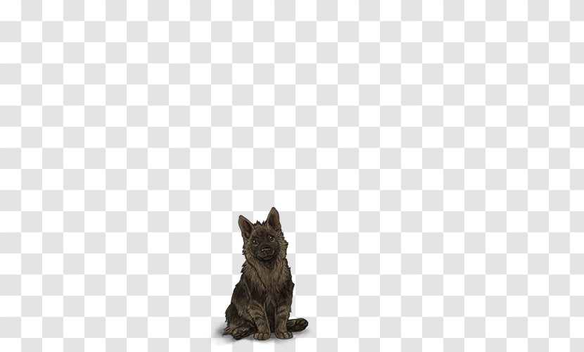 Cairn Terrier Scottish Cat Puppy Dog Breed - Pet - Hyena Transparent PNG
