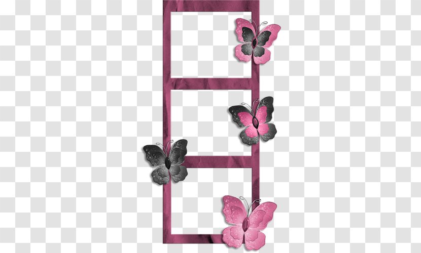 Picture Frames Scrapbooking Paper Clip Art - Pink - Floral Design Transparent PNG