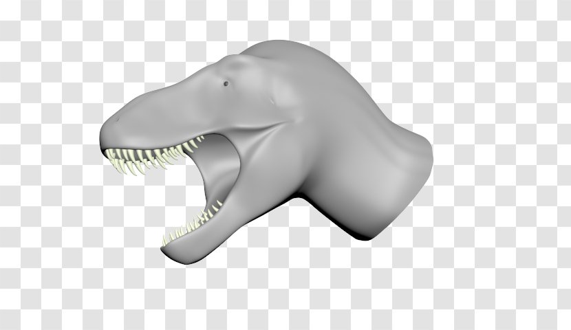 Fish Marine Mammal - Cf Transparent PNG