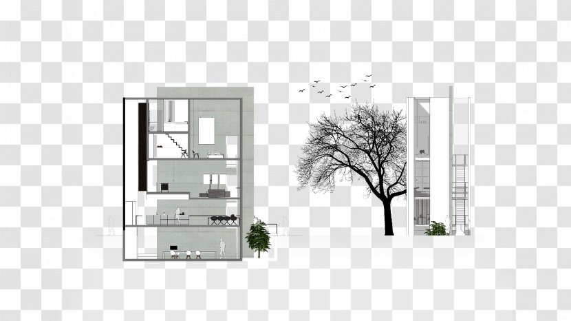 Architecture Property Angle - Home - Design Transparent PNG