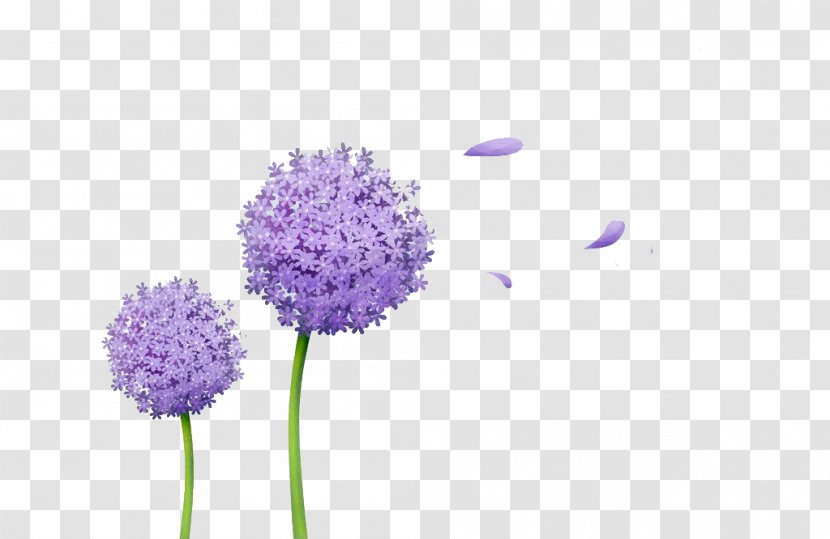 Download Illustration - Animation - Dandelion Transparent PNG