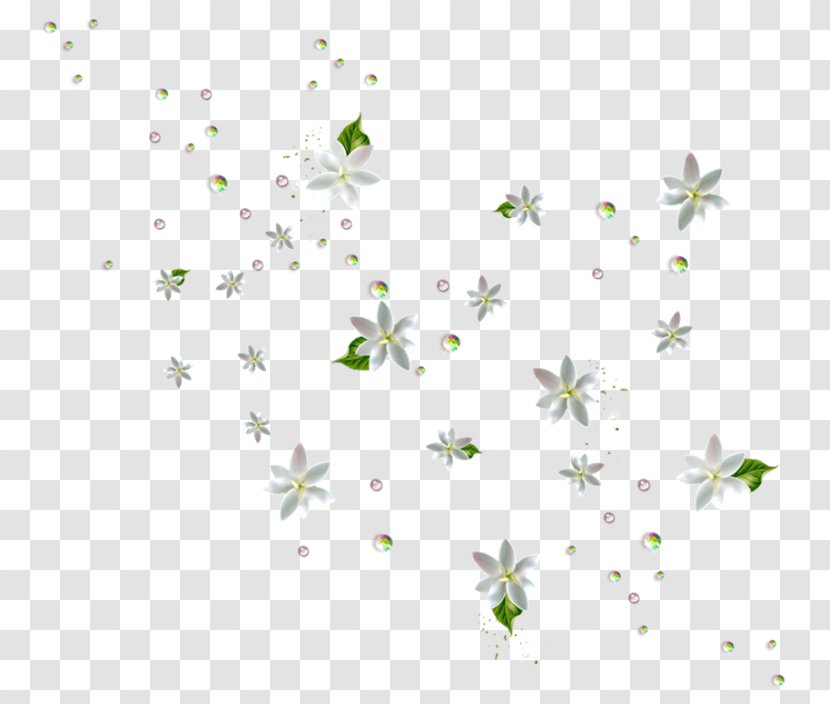 Floral Spring Flowers - Falling - Wildflower Branch Transparent PNG