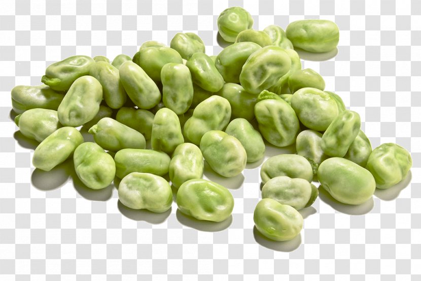 Broad Bean Vegetable Pea Common - Cooking - Stereoscopic Flower Transparent PNG
