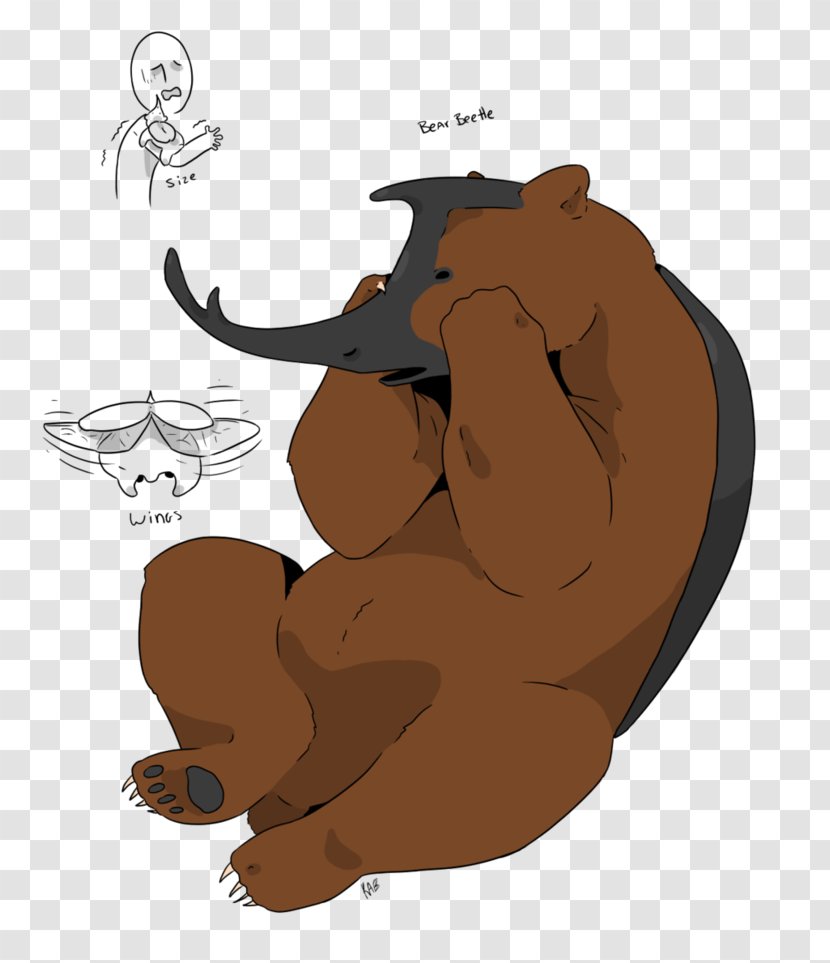 Bear Canidae Donkey - Carnivoran Transparent PNG