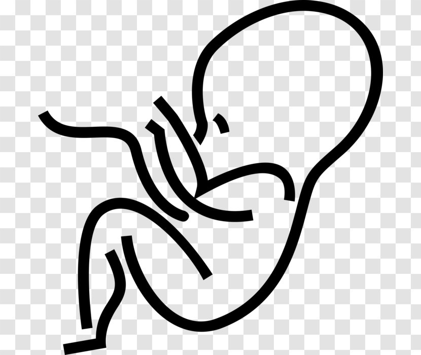 Pregnancy Cartoon - Uterus - Coloring Book Blackandwhite Transparent PNG
