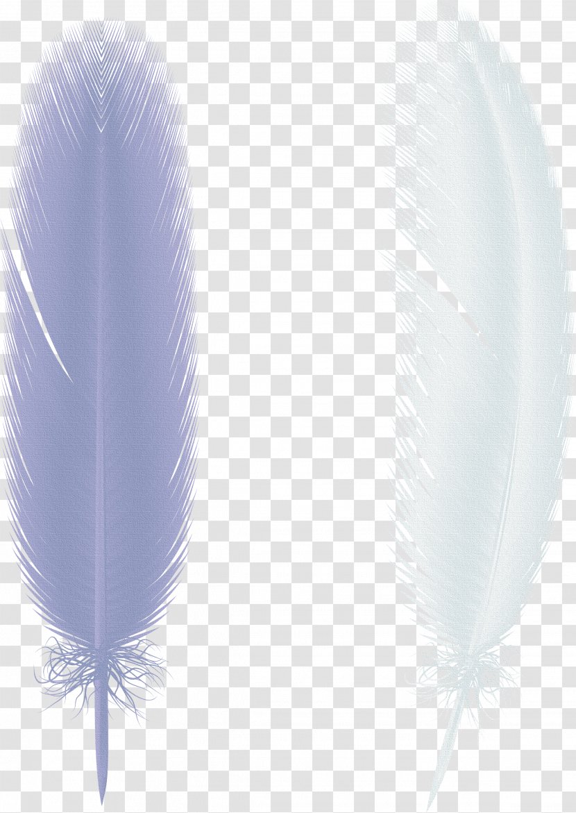 Butterfly Feather Paper Bird Wing - Creative Wings,feather Transparent PNG