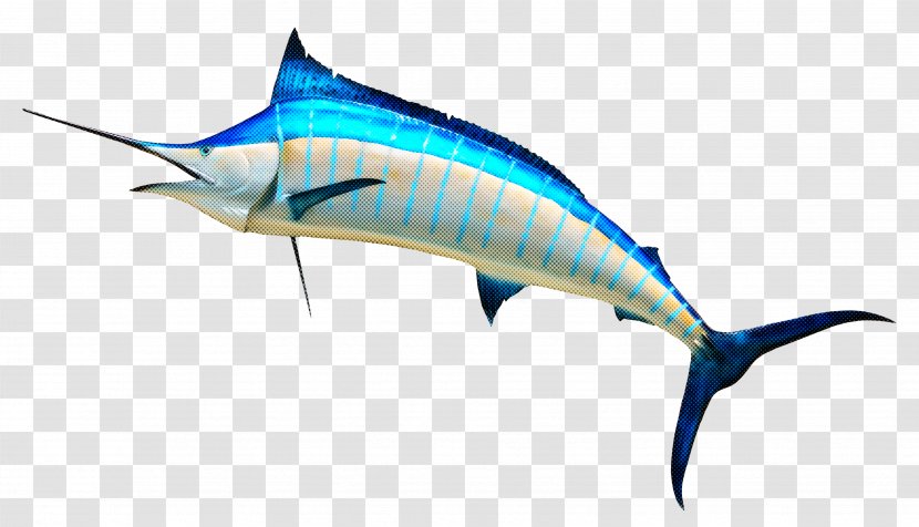 Fish Swordfish Sailfish Marlin Atlantic Blue - Bonyfish Tuna Transparent PNG