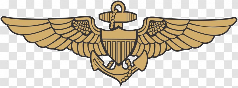 United States Naval Academy Aviator 0506147919 Aviation Badge - Membrane Winged Insect - Pilot In Command Transparent PNG