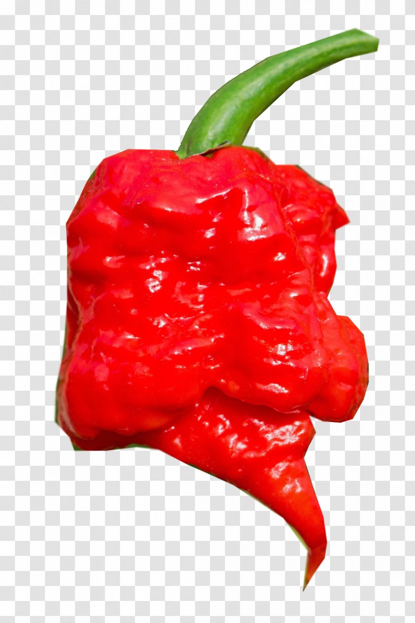 Habanero Cayenne Pepper Piquillo Bird's Eye Chili Tabasco - Scoville Unit - Hot Peppers Transparent PNG