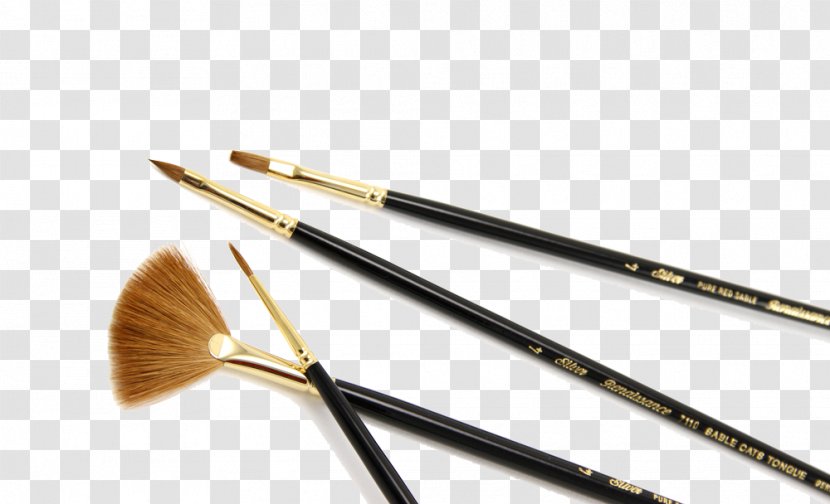 Kolinsky Sable-hair Brush Watercolor Painting Paintbrush Oil - Sable - Brushes Trident Decorations Transparent PNG