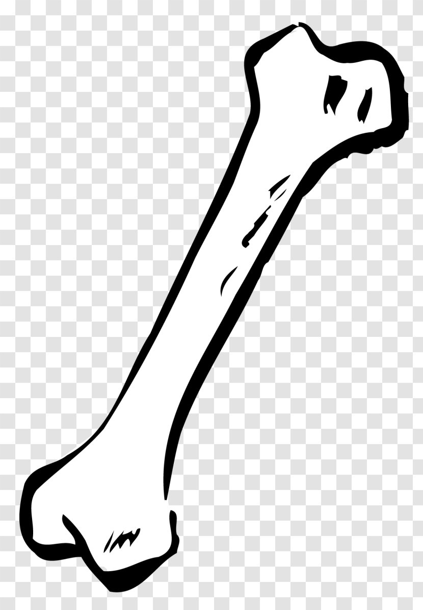 Dog Bone Human Skeleton Clip Art - Cartoon Transparent PNG