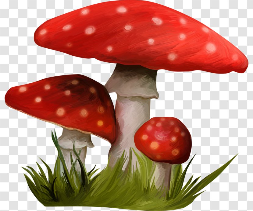 Mushroom Nala HTTP Cookie Clip Art Transparent PNG