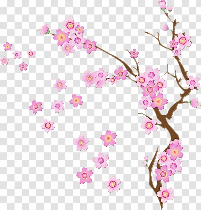 Cherry Blossom Flower - Twig Pedicel Transparent PNG