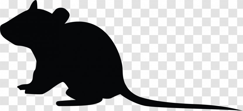 Whiskers Rat Goods Rodent Gift - Cat - Large-screen Transparent PNG