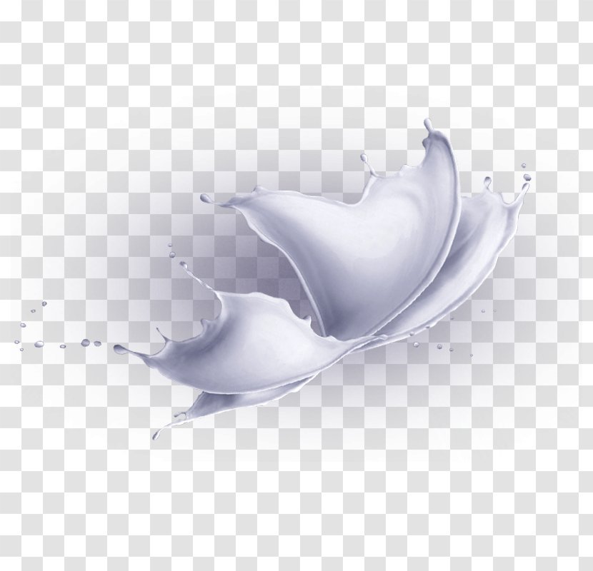 Shape Graphic Design - Creative Butterfly Milk Transparent PNG