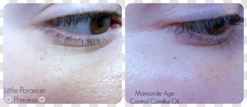 Cosmetics Eye Shadow Liner Eyelash - Watercolor - Camellia Transparent PNG