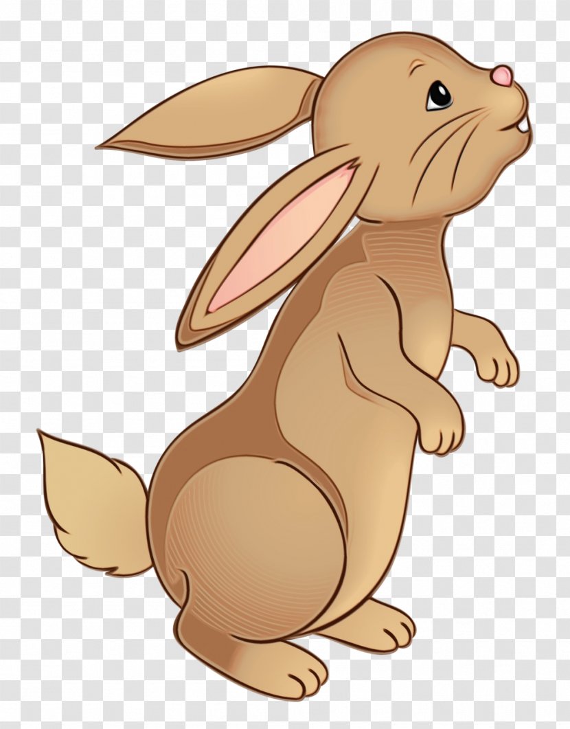 Cartoon Rabbit Hare Rabbits And Hares Brown - Animated - Domestic Animal Figure Transparent PNG