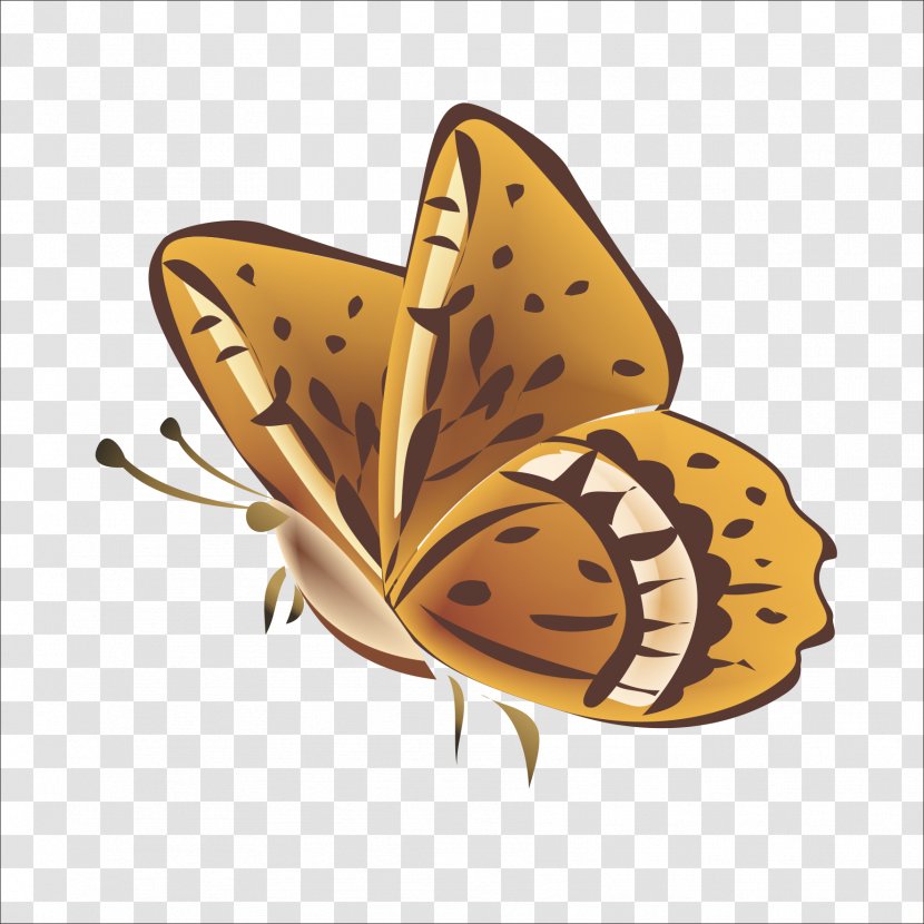Monarch Butterfly Nymphalidae Pattern Transparent PNG