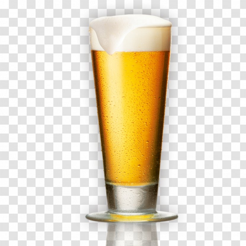 Beer Glassware Wine Liqueur - Cup - And Mug Transparent PNG