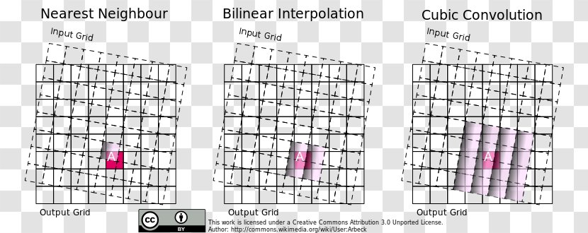 Amsler Grid Macular Degeneration Eye Examination Macula Of Retina - Human Transparent PNG