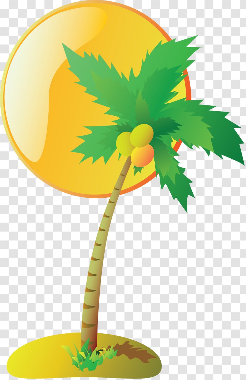 Coconut Tree Drawing - Woody Plant - Plane Transparent PNG