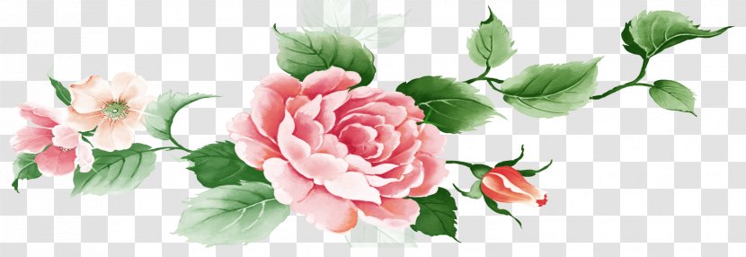 Moutan Peony Garden Roses Motif - Petal - Rose Transparent PNG