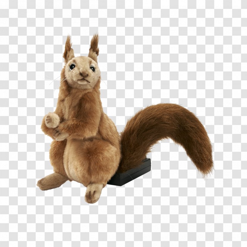 Squirrel Stuffed Animals & Cuddly Toys - Mammal Transparent PNG