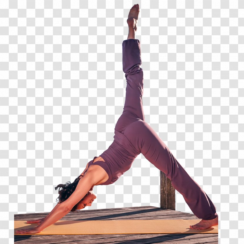 Ashtanga Vinyasa Yoga Pilates Physical Exercise Asana - Tree Transparent PNG