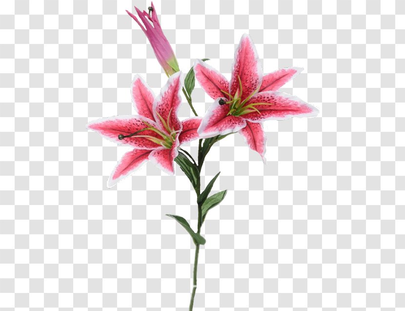 Lily 'Stargazer' Artificial Flower Easter Bouquet - Heart Transparent PNG